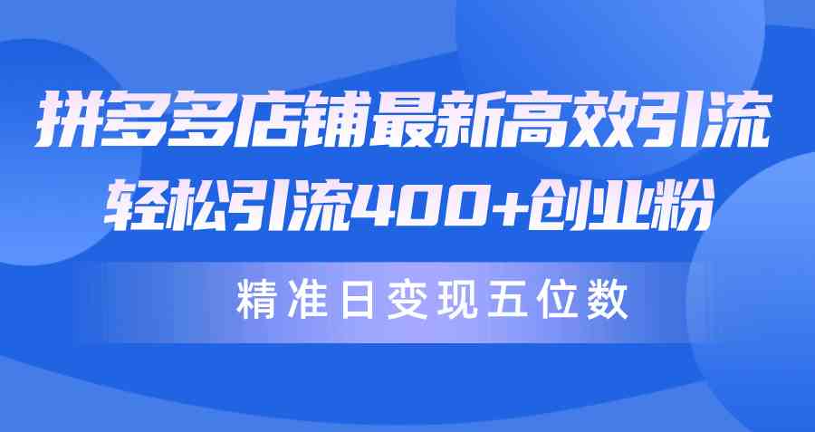 （10041期）拼多多店铺最新高效引流术，轻松引流400+创业粉，精准日变现五位数！-吾藏分享