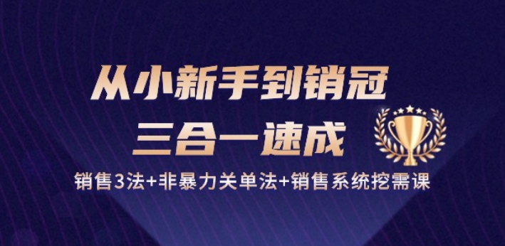 从小新手到销冠 三合一速成：销售3法+非暴力关单法+销售系统挖需课 (27节)-吾藏分享