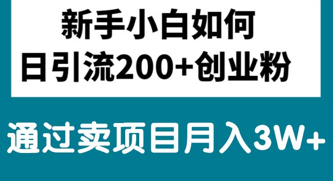 （10843期）新手小白日引流200+创业粉,通过卖项目月入3W+-吾藏分享