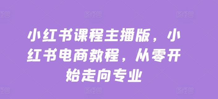 小红书课程主播版，小红书电商教程，从零开始走向专业-吾藏分享
