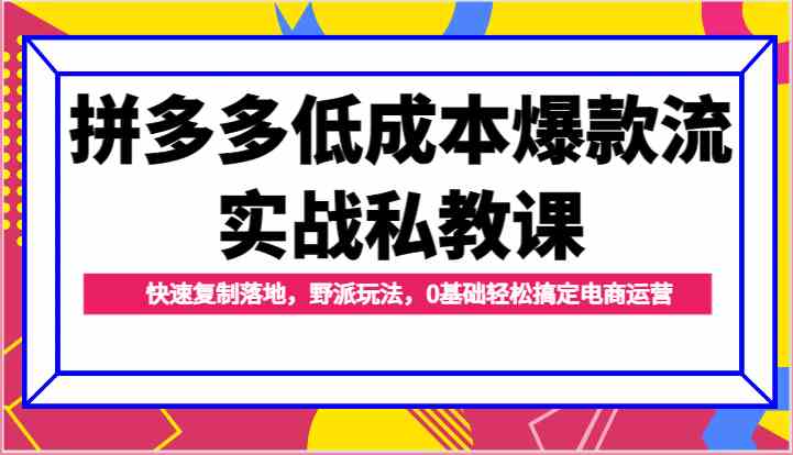 拼多多低成本爆款流实战私教课，快速复制落地，野派玩法，0基础轻松搞定电商运营-吾藏分享
