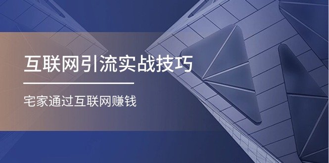 （11108期）互联网引流实操技巧(适合微商，吸引宝妈)，宅家通过互联网赚钱（17节）-吾藏分享
