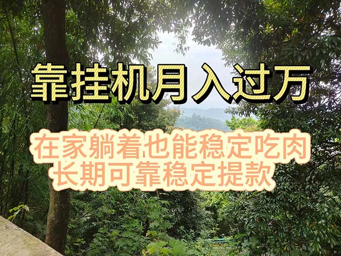 （11144期）挂机掘金，日入1000+，躺着也能吃肉，适合宝爸宝妈学生党工作室，电脑…-吾藏分享