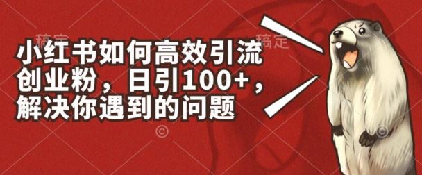 小红书如何高效引流创业粉，日引100+，解决你遇到的问题【揭秘】-吾藏分享