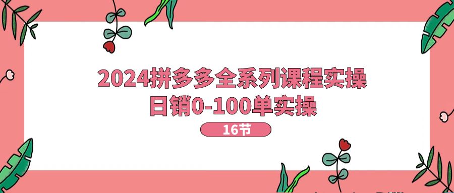 （11222期）2024拼多多全系列课程实操，日销0-100单实操【16节课】-吾藏分享