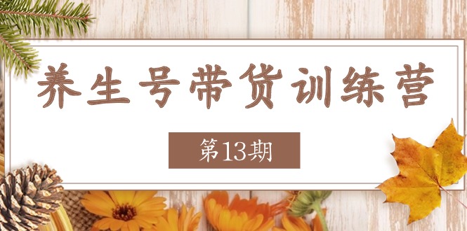 （11275期）养生号-带货训练营【第13期】收益更稳定的玩法，让你带货收益爆炸-吾藏分享