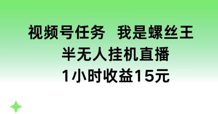 视频号任务，我是螺丝王， 半无人挂机1小时收益15元【揭秘】-吾藏分享