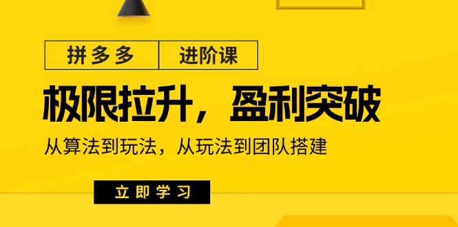 （11435期）拼多多·进阶课：极限拉升/盈利突破：从算法到玩法 从玩法到团队搭建-18节-吾藏分享