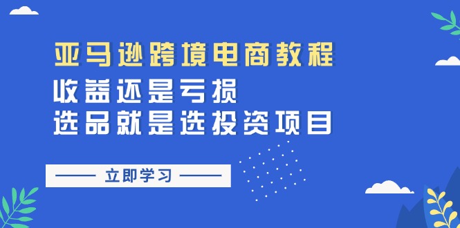 （11432期）亚马逊跨境电商教程：收益还是亏损！选品就是选投资项目-吾藏分享