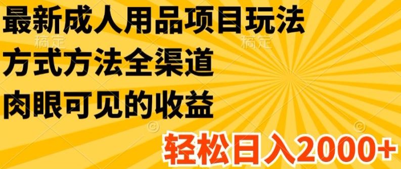 最新成人用品项目玩法，方式方法全渠道，轻松日入2K+【揭秘】-吾藏分享