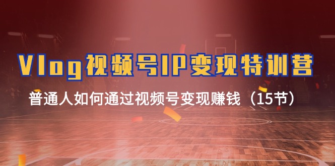 （11654期）Vlog 视频号IP变现特训营，普通人如何通过视频号变现赚钱（15节）-吾藏分享
