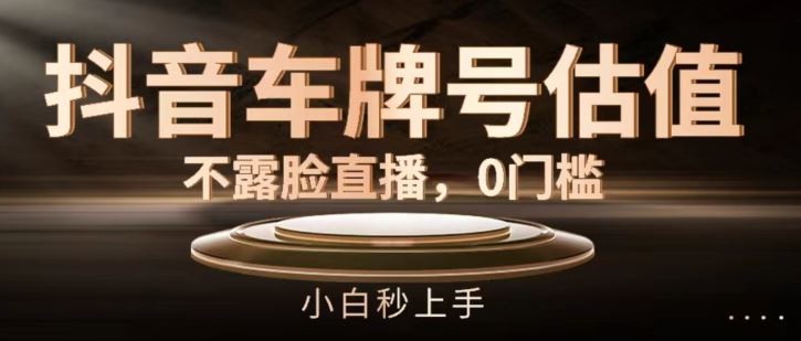 抖音车牌号估值,不露脸直播,0门槛,小白秒上手【揭秘】-吾藏分享