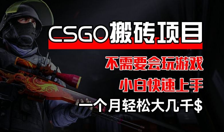CSGO 装备搬砖项目，操作简单，不需要会玩游戏，小白也能快速上手，一个月轻松大几千【揭秘】-吾藏分享