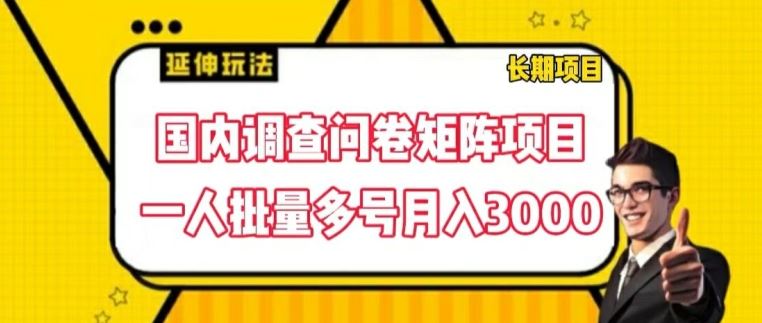 国内调查问卷矩阵项目，一人批量多号月入3000【揭秘】-吾藏分享