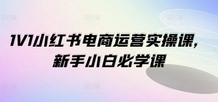 1V1小红书电商运营实操课，新手小白必学课-吾藏分享