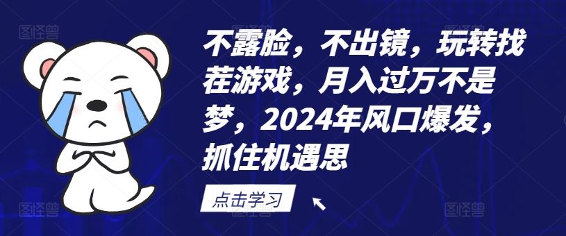 不露脸，不出镜，玩转找茬游戏，月入过万不是梦，2024年风口爆发，抓住机遇【揭秘】-吾藏分享