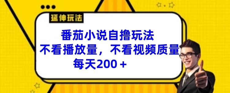 番茄小说自撸玩法，不看播放量，不看视频质量，每天200+【揭秘】-吾藏分享