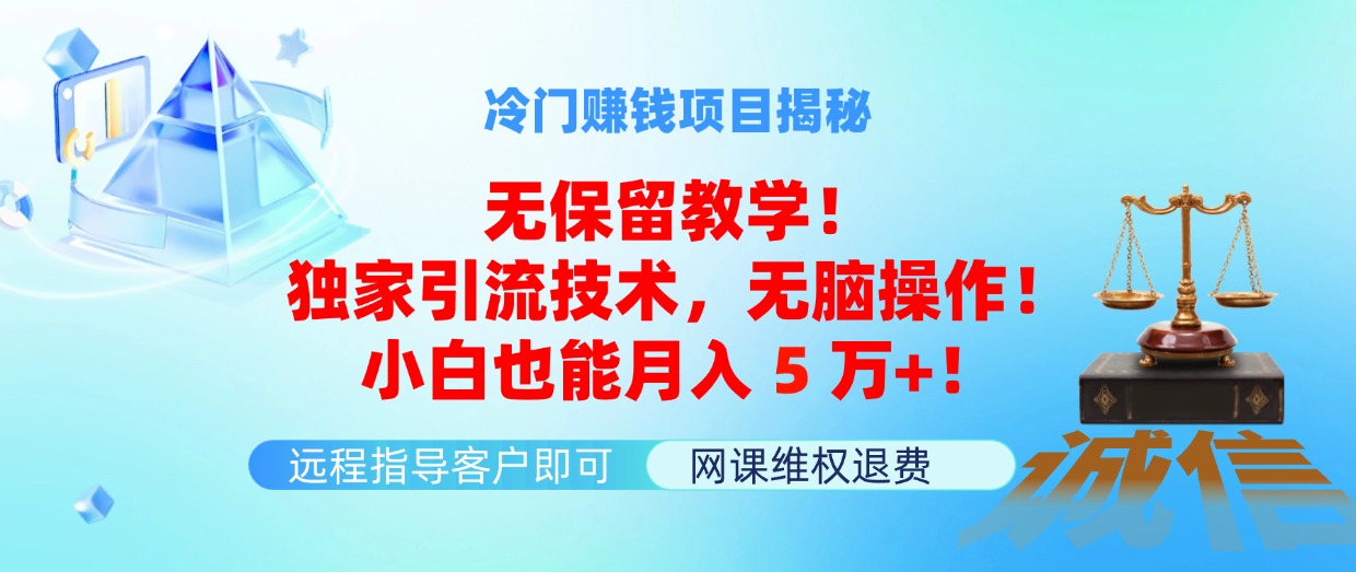 （11864期）冷门赚钱项目无保留教学！独家引流技术，无脑操作！小白也能月入5万+！-吾藏分享