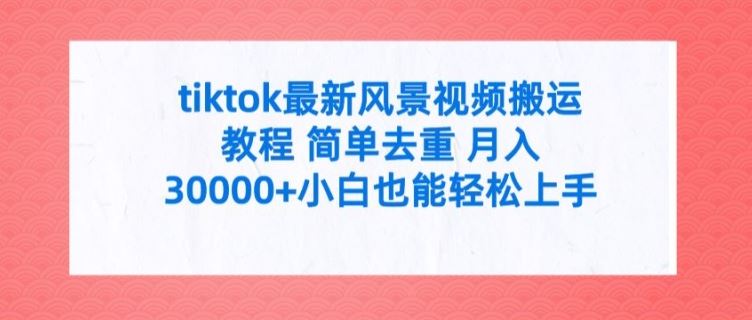 tiktok最新风景视频搬运教程 简单去重 月入3W+小白也能轻松上手【揭秘】-吾藏分享
