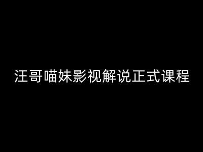 汪哥影视解说正式课程：剪映/PR教学/视解说剪辑5大黄金法则/全流程剪辑7把利器等等-吾藏分享