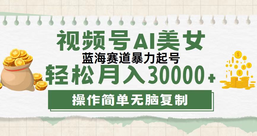 （12087期）视频号AI美女跳舞，轻松月入30000+，蓝海赛道，流量池巨大，起号猛，无…-吾藏分享
