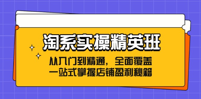 （12276期）淘系实操精英班：从入门到精通，全面覆盖，一站式掌握店铺盈利秘籍-吾藏分享