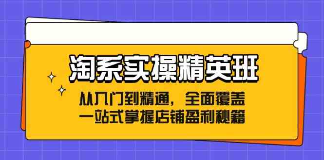 淘系实操精英班：从入门到精通，全面覆盖，一站式掌握店铺盈利秘籍-吾藏分享