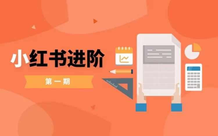 小红书进阶篇，零基础小白实战课，普通人变现的课程-吾藏分享