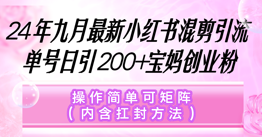 （12530期）小红书混剪引流，单号日引200+宝妈创业粉，操作简单可矩阵（内含扛封…-吾藏分享