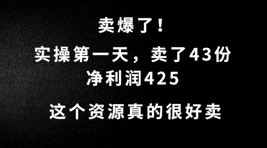 这个资源，需求很大，实操第一天卖了43份，净利润425【揭秘】-吾藏分享