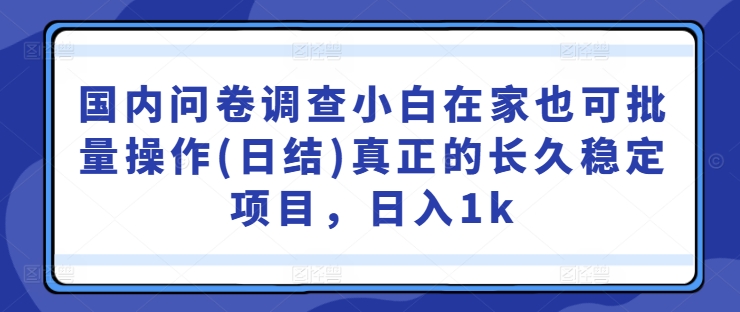 国内问卷调查小白在家也可批量操作(日结)真正的长久稳定项目，日入1k【揭秘】-吾藏分享