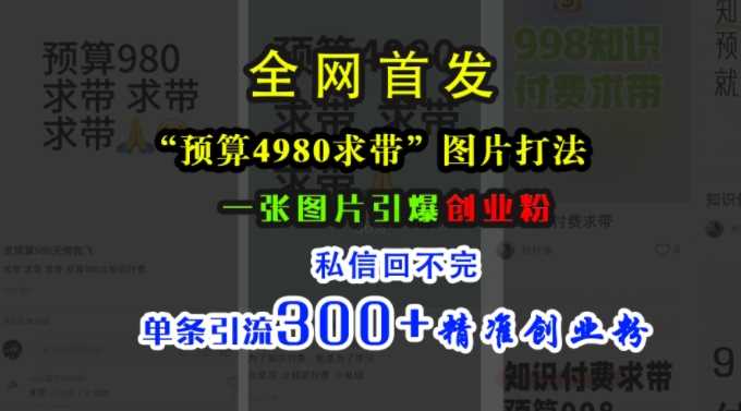 小红书“预算4980带我飞”图片打法，一张图片引爆创业粉，私信回不完，单条引流300+精准创业粉-吾藏分享