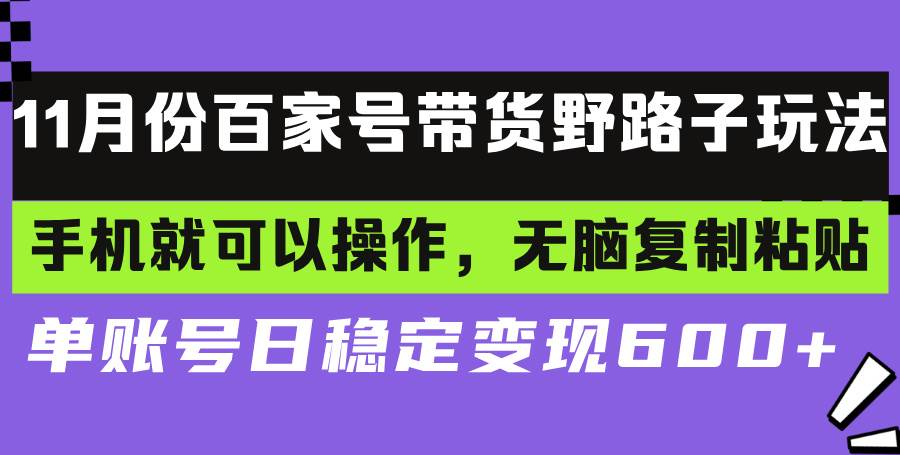 （13281期）百家号带货野路子玩法 手机就可以操作，无脑复制粘贴 单账号日稳定变现…-吾藏分享