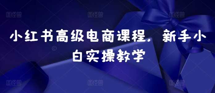 小红书高级电商课程，新手小白实操教学-吾藏分享