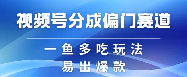 视频号创作者分成计划偏门类目，容易爆流，实拍内容简单易做【揭秘】-吾藏分享