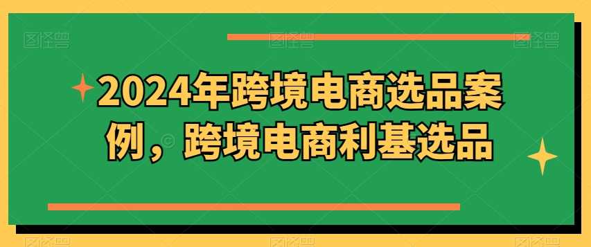 2024年跨境电商选品案例，跨境电商利基选品（更新11月）-吾藏分享