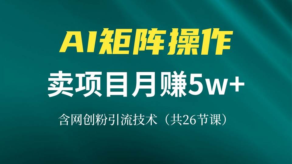（13335期）网创IP打造课，借助AI卖项目月赚5万+，含引流技术（共26节课）-吾藏分享