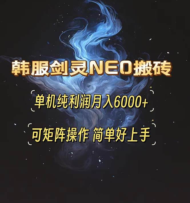 （13435期）韩服剑灵NEO搬砖攻略，单机纯利润月入6000+ 可矩阵操作，简单好上手。-吾藏分享