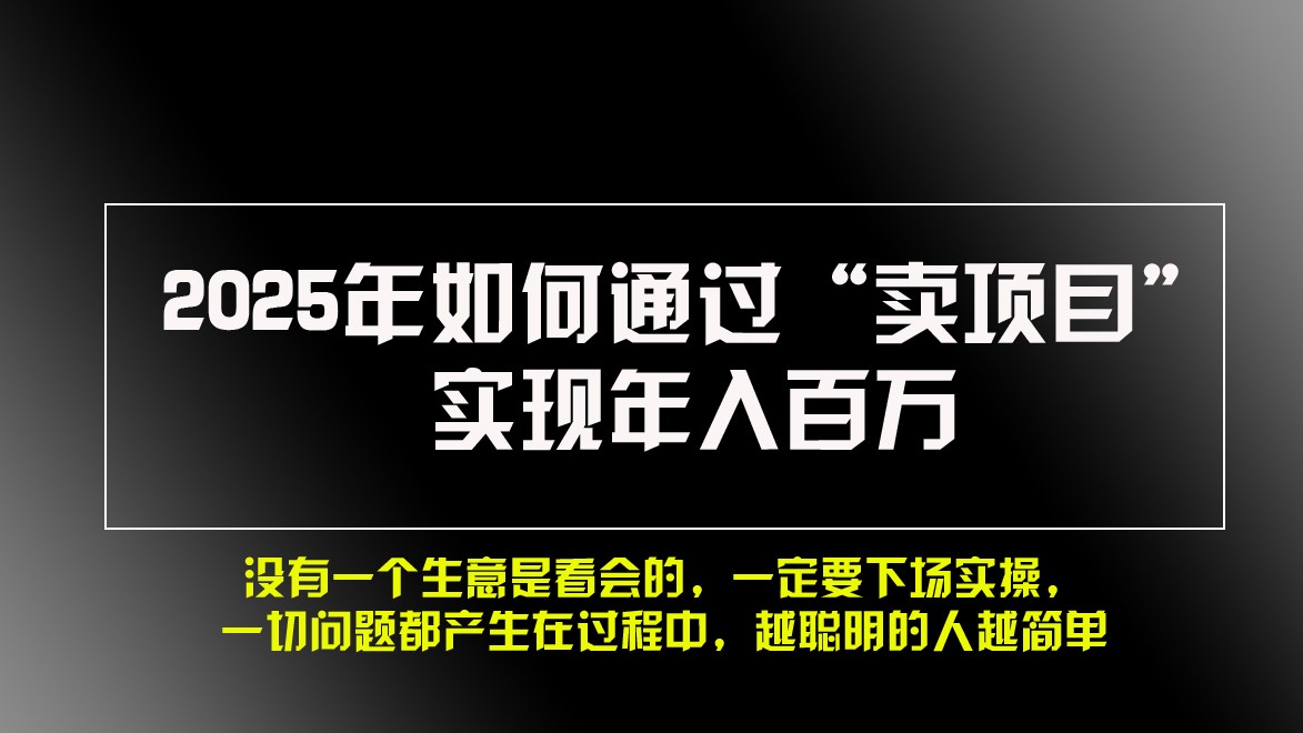 2025年如何通过“卖项目”实现年入百万-吾藏分享
