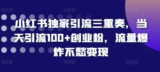 小红书独家引流三重奏，当天引流100+创业粉，流量爆炸不愁变现【揭秘】-吾藏分享