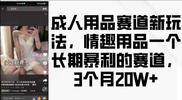 成人用品赛道新玩法，情趣用品一个长期暴利的赛道，3个月收益20个【揭秘】-吾藏分享