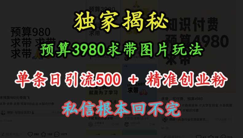 预算3980求带 图片玩法，单条日引流500+精准创业粉，私信根本回不完-吾藏分享