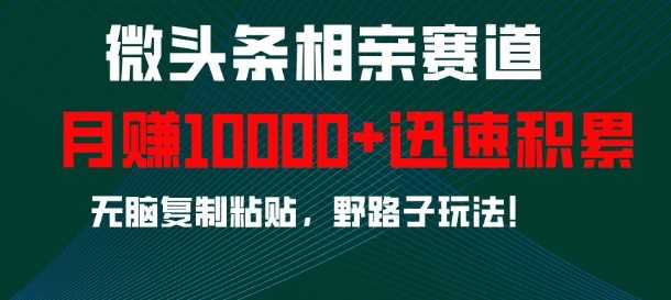 微头条相亲赛道，迅速积累，无脑复制粘贴，野路子玩法，月入1w-吾藏分享
