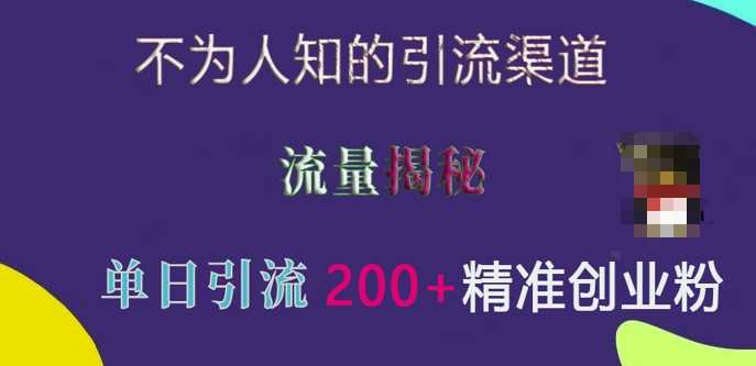不为人知的引流渠道，流量揭秘，实测单日引流200+精准创业粉【揭秘】-吾藏分享