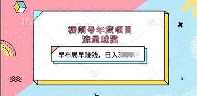 视频号年货项目，流量贼猛，早布局早挣钱，日入上k【揭秘】-吾藏分享