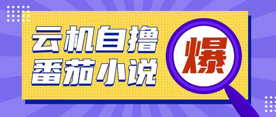 首发云手机自撸小说玩法，10块钱成本可撸200+收益操作简单【揭秘】-吾藏分享