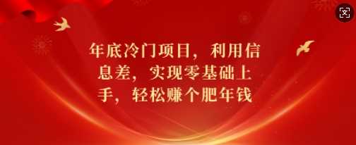 年底冷门项目，利用信息差，实现零基础上手，轻松赚个肥年钱【揭秘】-吾藏分享