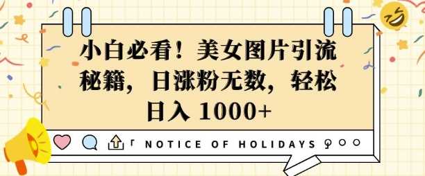 小白必看，美女图片引流秘籍，日涨粉无数，轻松日入几张【揭秘】-吾藏分享