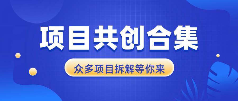 （13778期）项目共创合集，从0-1全过程拆解，让你迅速找到适合自已的项目-吾藏分享