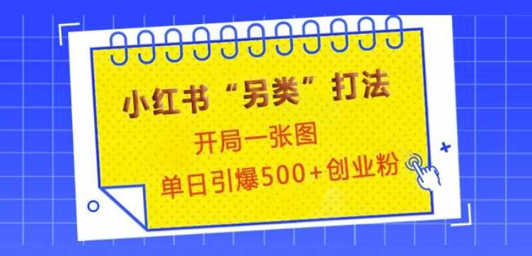 小红书“另类”打法，开局一张图，单日引爆500+精准创业粉【揭秘】-吾藏分享